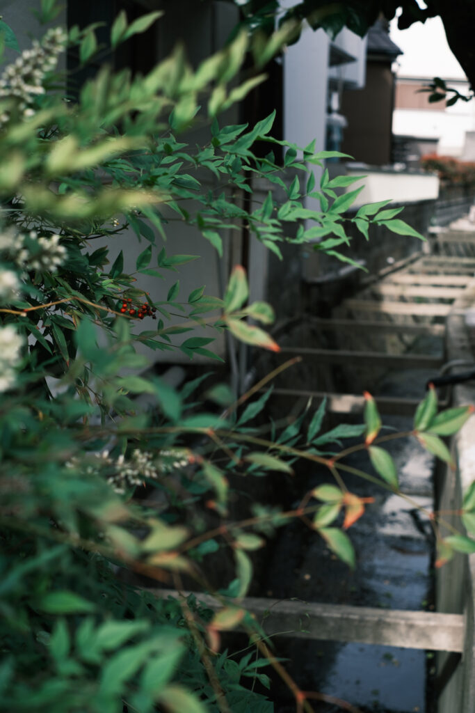 XF 35mm F1.4 Rの屋外作例。富士フイルムのフィルムシミュレーションとの組み合わせによる色再現
